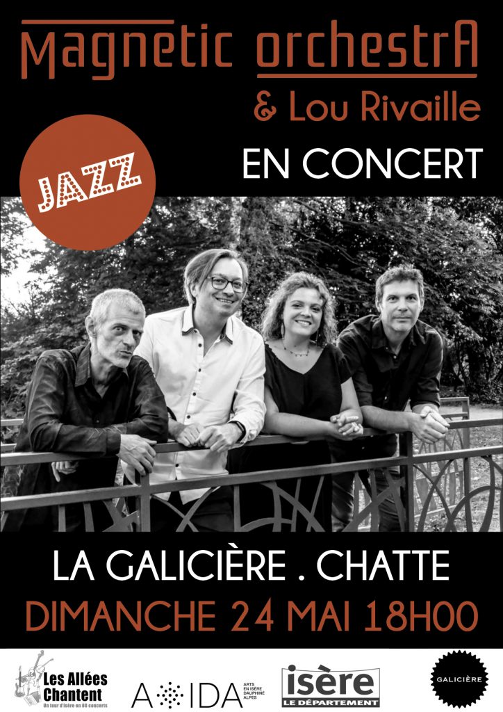 Affiche Magnetic Orchestra Panneau Chatte